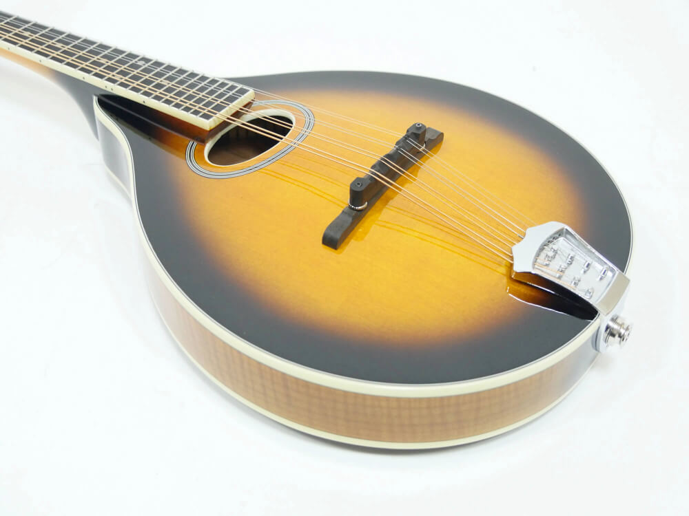 ケルトの笛屋さん | 商品詳細 | Gold Tone Aスタイル マンドリン GM-50