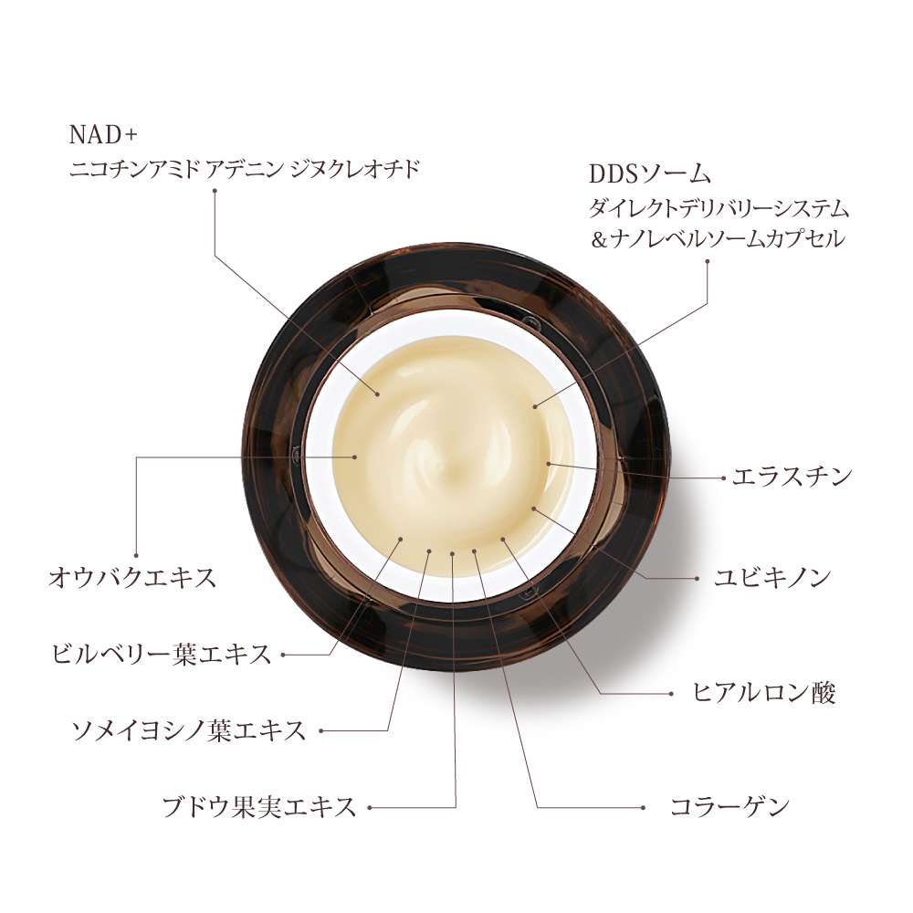 NMNPREMIUM RERISING SKIN CREAM – CELVIT株式会社