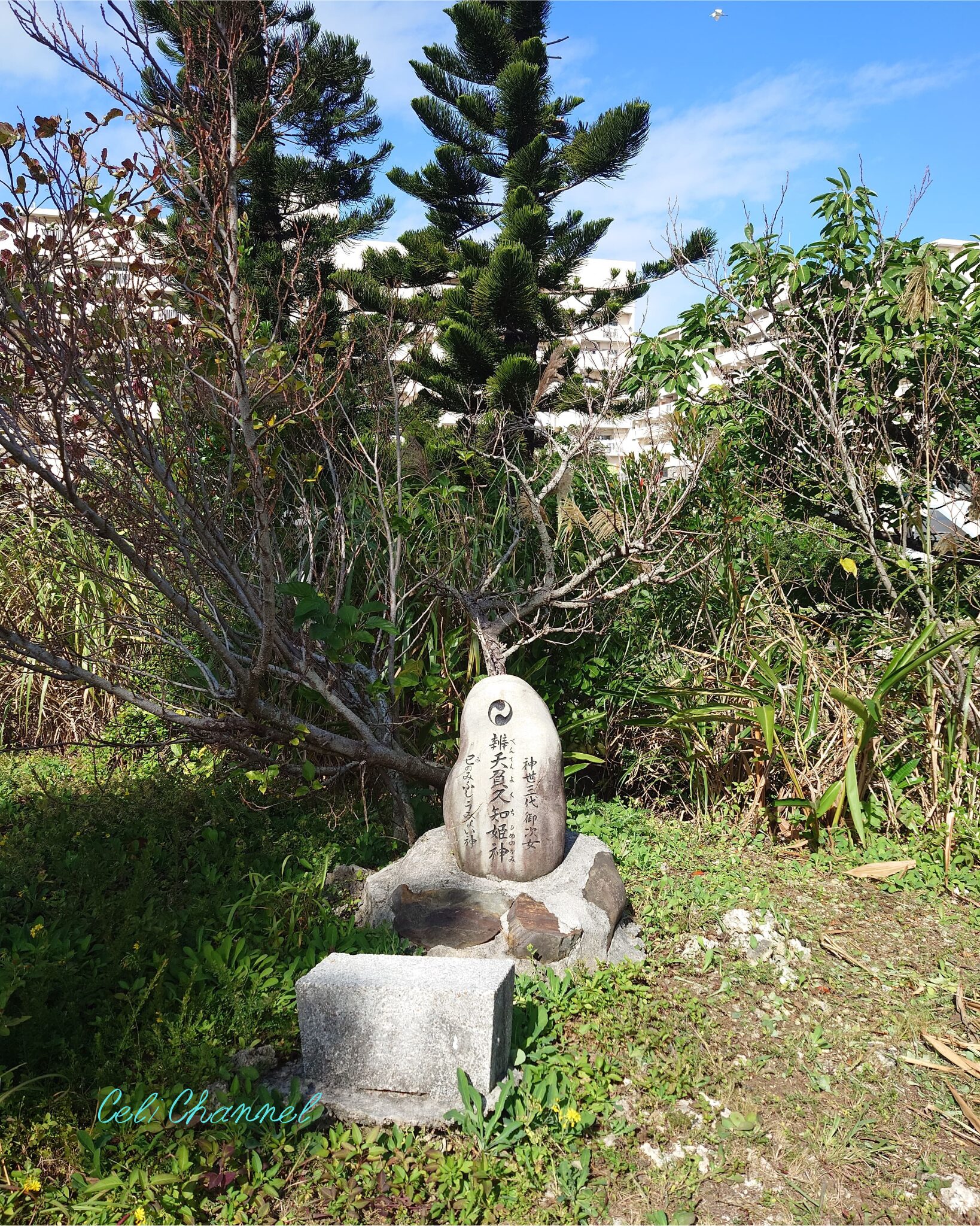 那覇市】若狭・夫婦瀬公園で巳の龍神様「辨天負久知姫神」に2025年のご