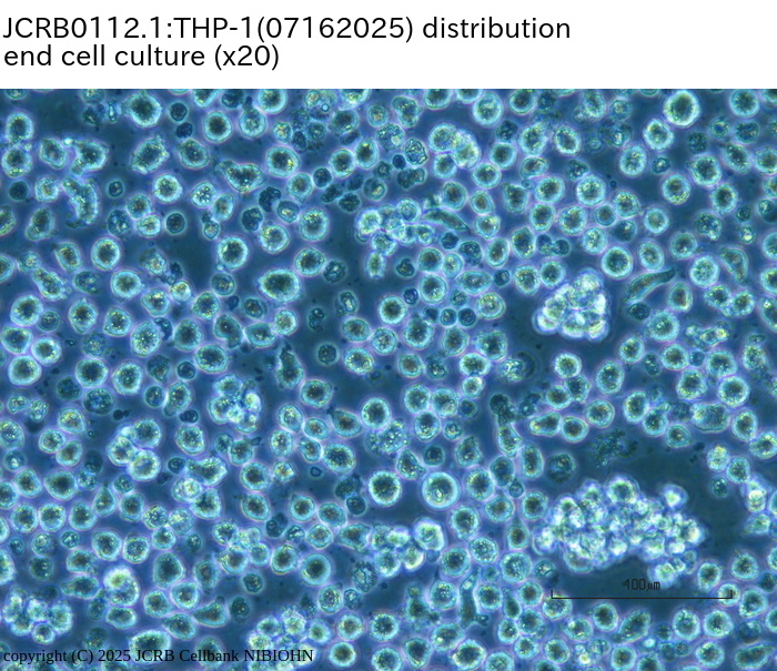 Detailed Information [JCRB0112.1]-