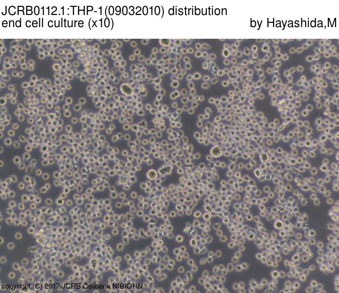 Detailed Information [JCRB0112.1]-