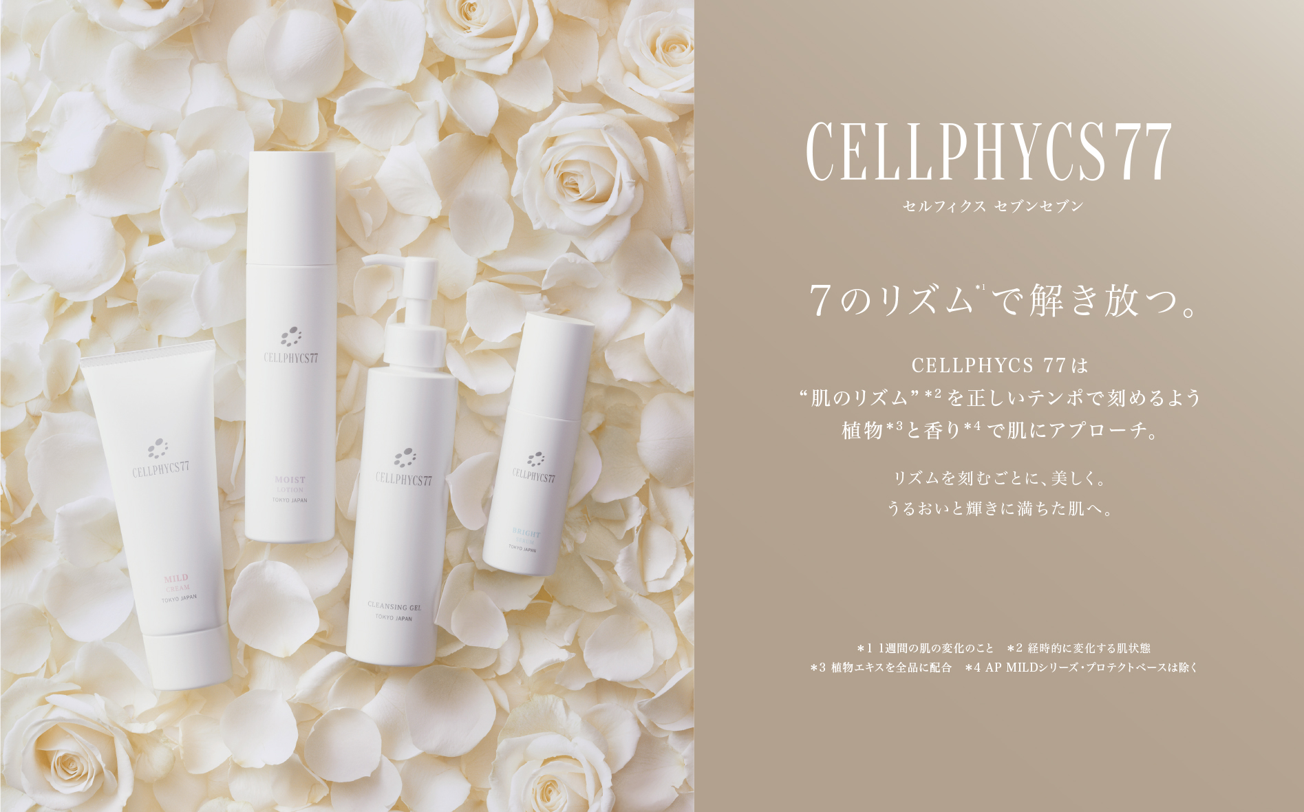 株式会社Cellphycs