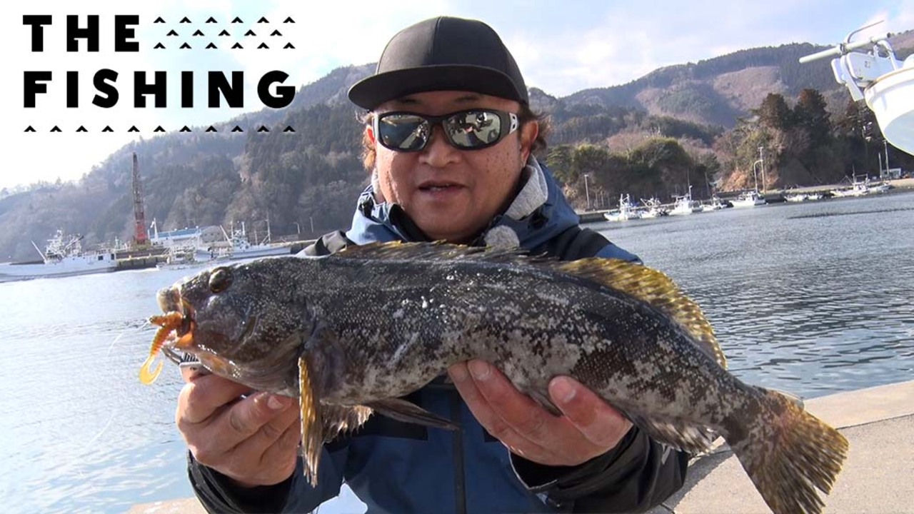 THE FISHING「アイナメ乱舞 岩手ロックフィッシュ徹底攻略！」 - DAIWA
