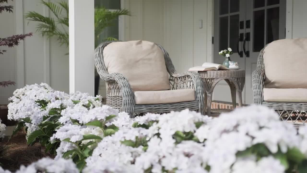 SOUTHERN LIVING 1.5 Gal. Mojo Pittosporum Shrub (Japanese Mock