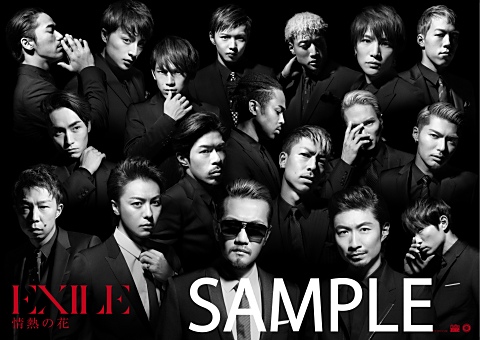 3/4(wed)release EXILE TRIBE PERFECT YEAR LIVE TOUR TOWER OF WISH