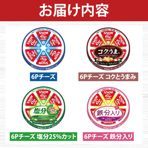 雪印メグミルク・6Pチーズ詰め合わせセット(12品)【6Pチーズ スライス