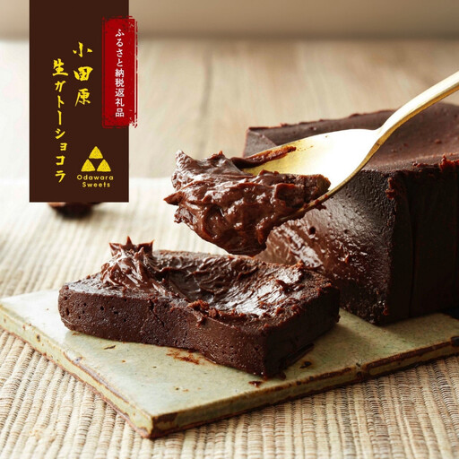 極上の口溶け。幸せの生ガトーショコラ 450g 【 高級 濃厚 極上