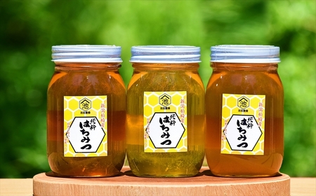 令和7年産・数量限定】国産 非加熱 純粋はちみつ 600g×3種類（アカシア