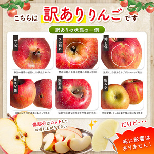 訳あり ぐんま名月約5kg 【2026年先行予約】 | ヤマモ農園 | 長野県松