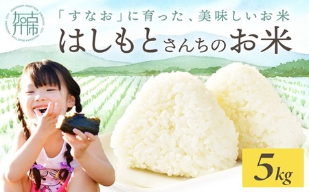 令和7年産 2025年11月より順次発送】はしもとさんちのお米(5kg)《 お米