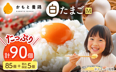 白たまごM玉卵90個(85個＋5個割れ保証)卵タマゴZCA001 | 熊本県山鹿市