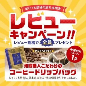 職人串打ちの本格焼き鳥66本!!_MJ-3312_(都城市) 生冷凍 6本入り 11P
