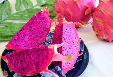 ルビーの輝き～プレミアムドラゴンフルーツ“徳之島宝赤（ほうせき