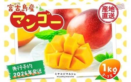JH001《先行予約 2026年発送》宮古島産マンゴー1kg【(株)フラモン