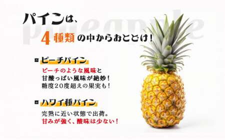 2026年 先行予約 パイン マンゴー セット トロピカルフルーツセット