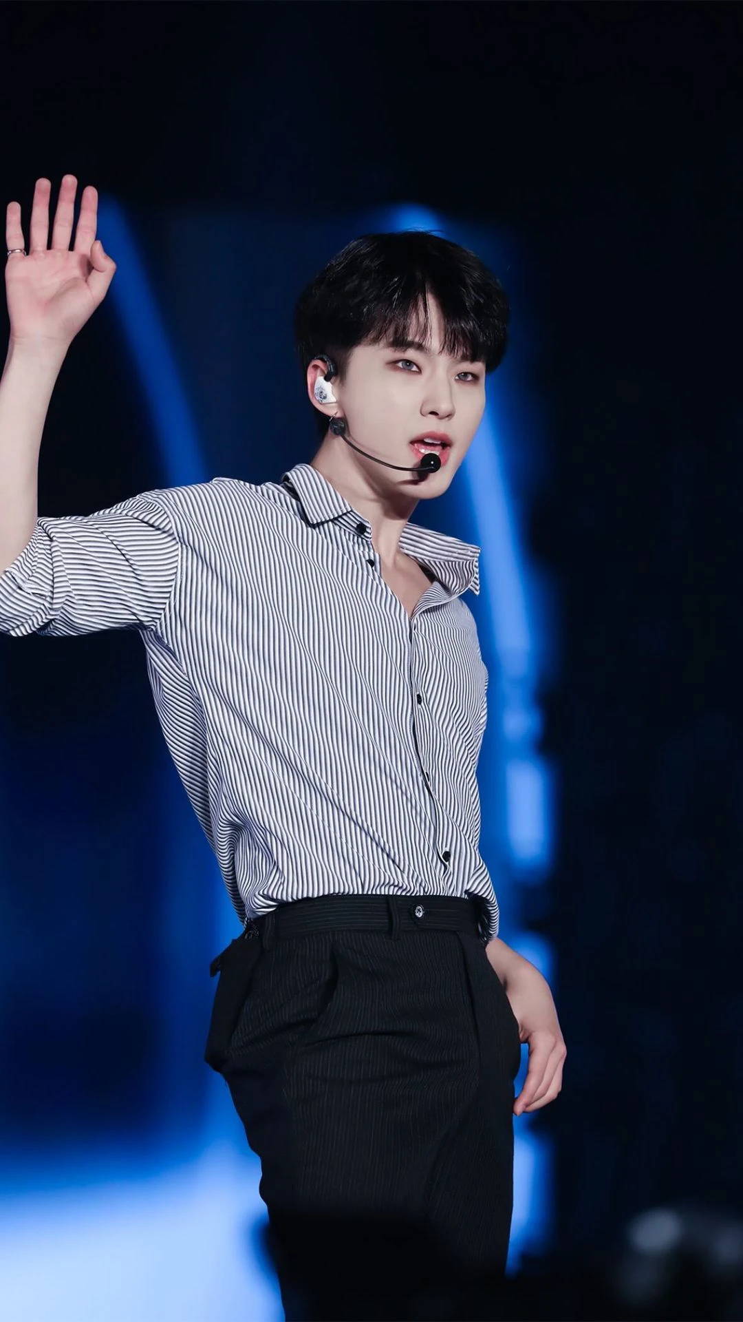 SEVENTEENメンバーの説明書 第2弾：ホシ