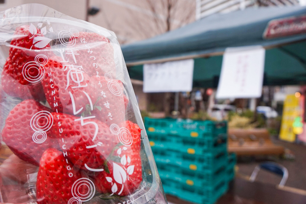 苺 スイーツ大集合!蜂蜜いちごも!いちご祭行ってきた| チェキポス