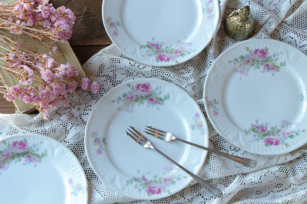 フランスアンティークプレート ナスタチウム花柄 皿2枚セット フランス