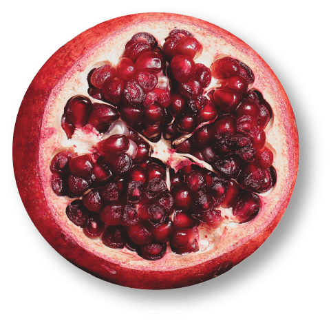 Pomegranate Cleansing Conditioner - Shampoo & Conditioner - WEN®