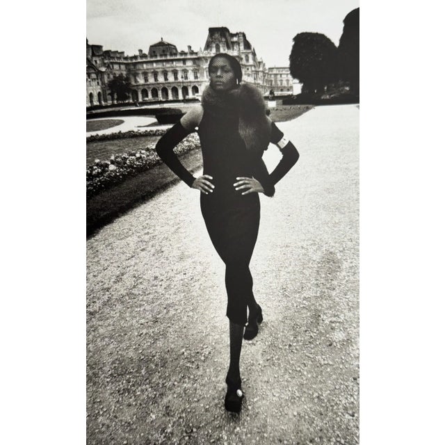 The Best of Helmut Newton by Zdenek Felix | Chairish