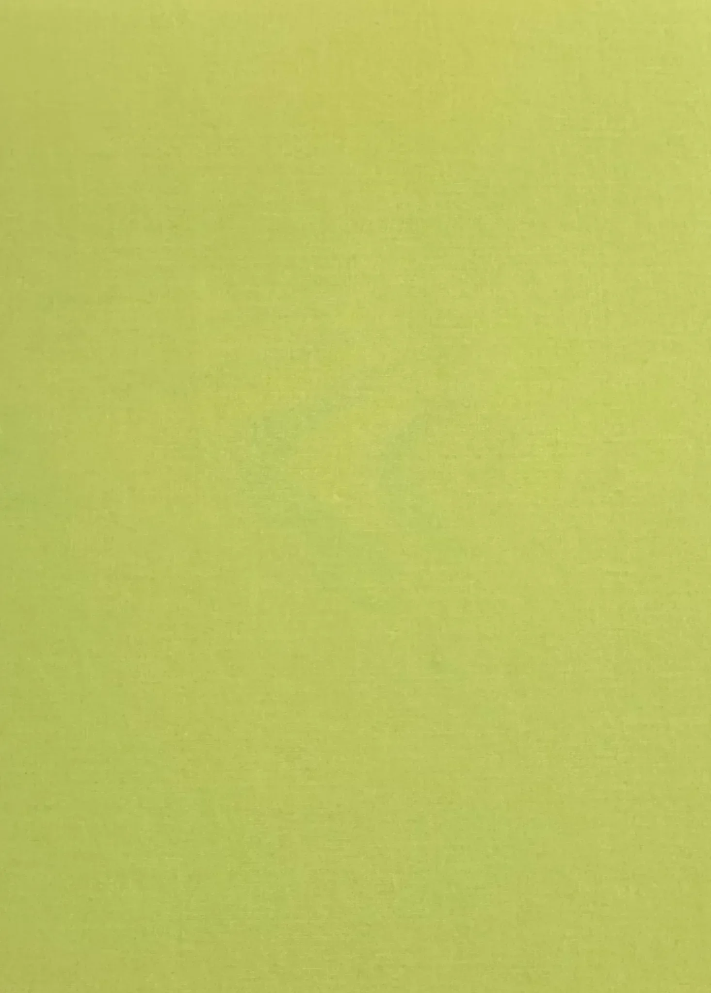 American Photography 13 by Robert Priest | Chairish