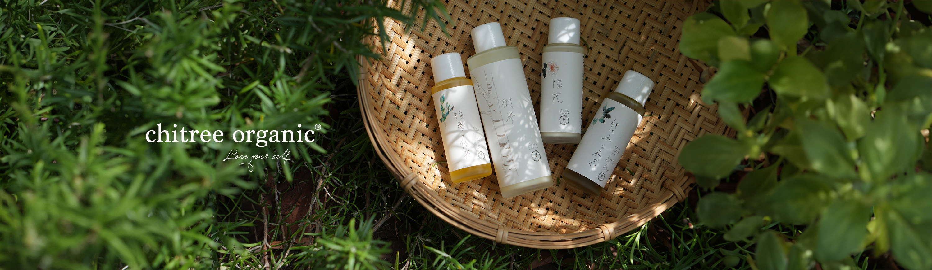 chitree organic chitree organic