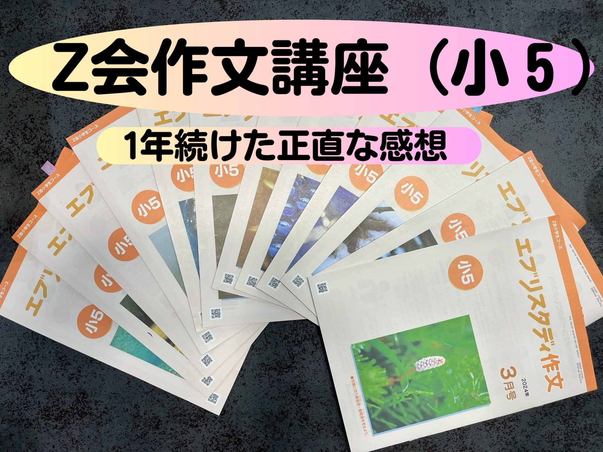 Z会】小5長女が作文講座を1年続けた正直な感想。作文力は上がる