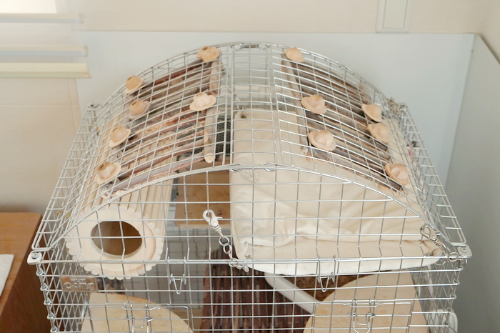 再販されるもあっという間に完売！『コンフォート60用 アーチルーフ