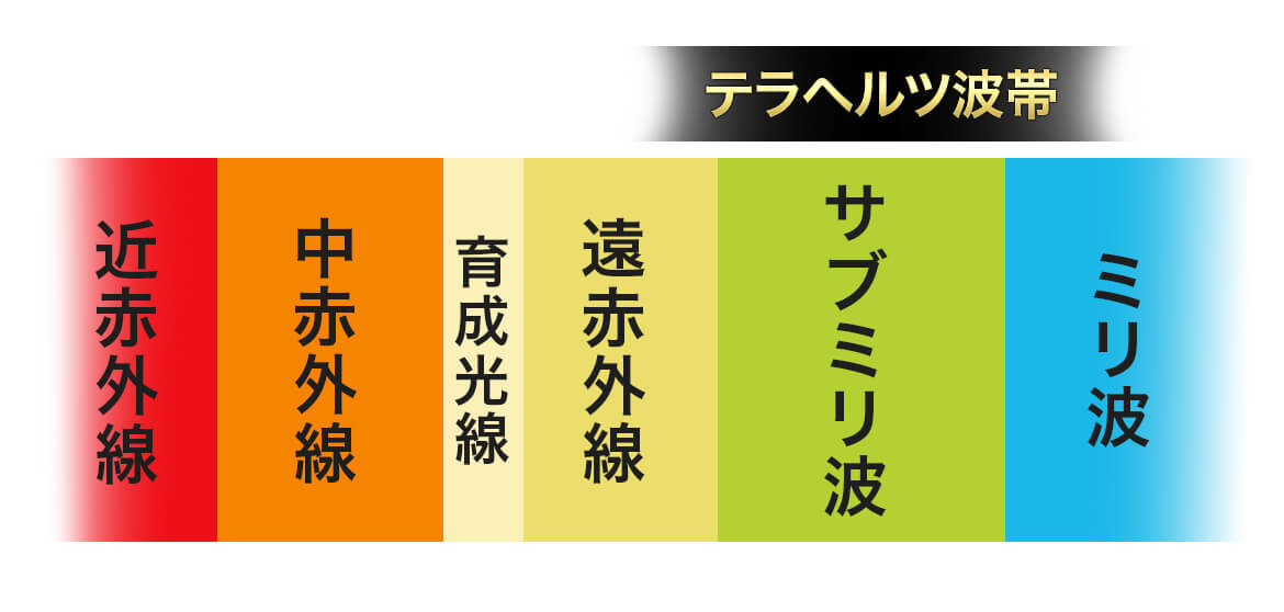 テラタイト・パワープレート プロ | カラケア