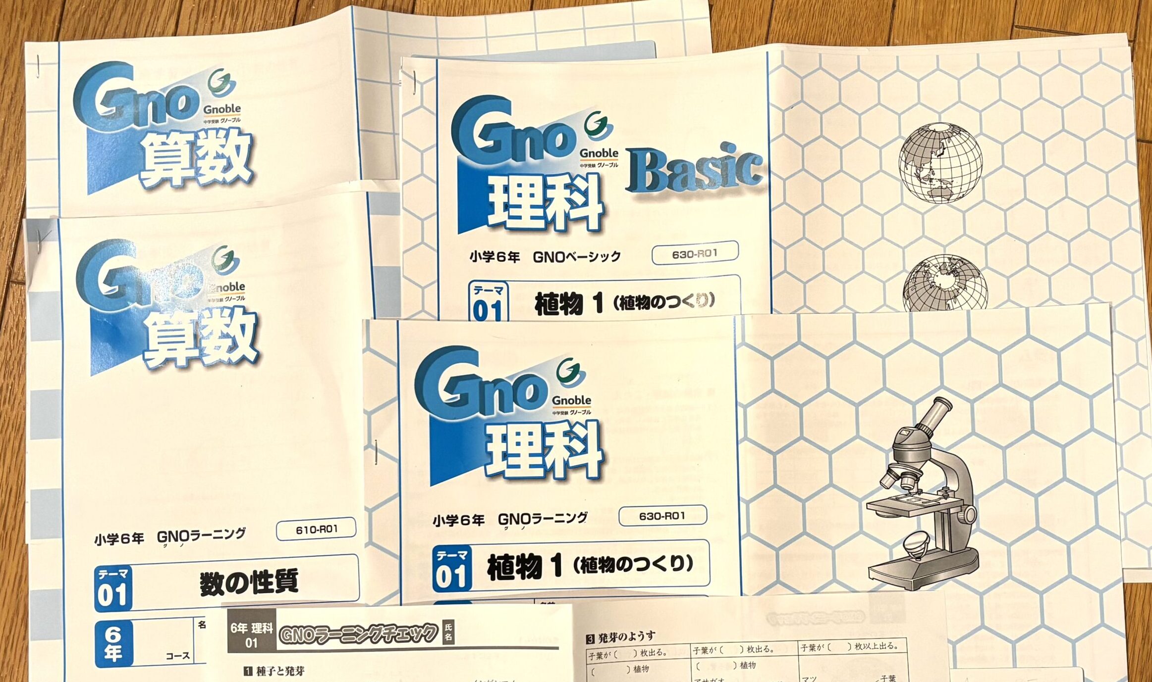 想像以上?! グノーブル新6年生始動 | 中受の波に乗ってみた