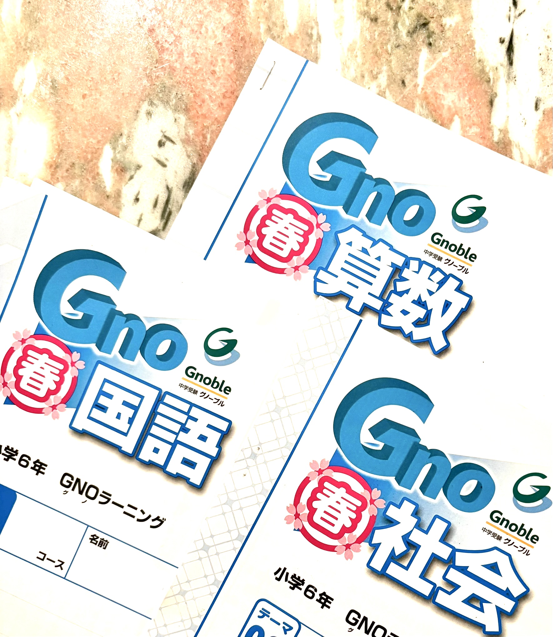 息つく暇もなかった グノーブル 小6春期講習 | 中受の波に乗ってみた