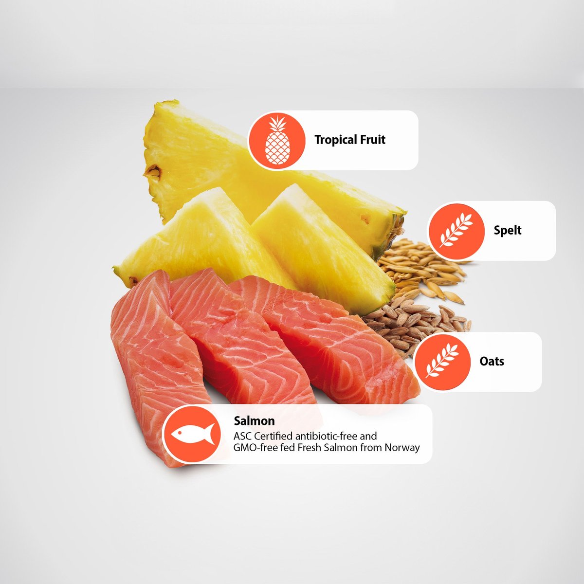 Farmina N&D Tropical Selection Salmon, Spelt, Oats & Tropical Fruits M