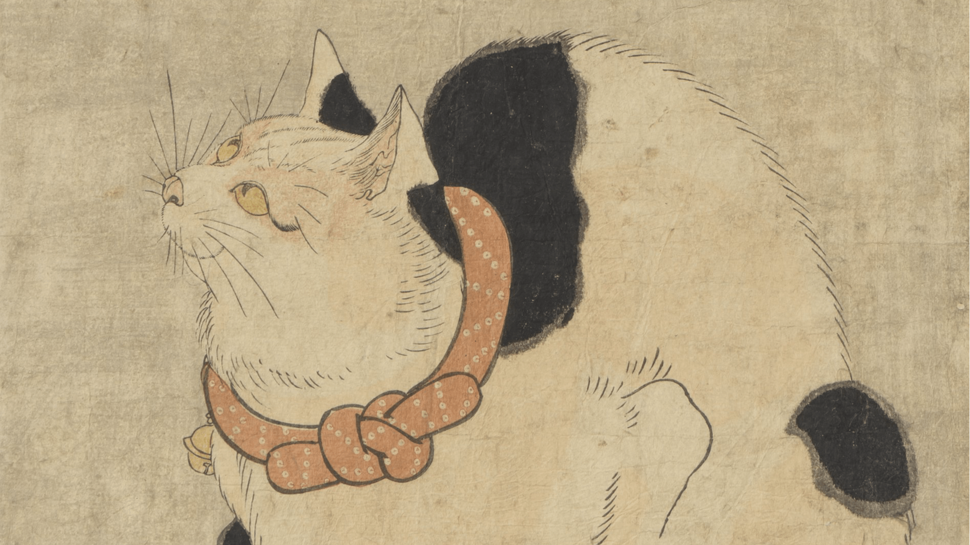 猫の魅力、浮世絵で存分に 寄稿「Ukiyo―e猫百科 ごろごろまるまるネコ