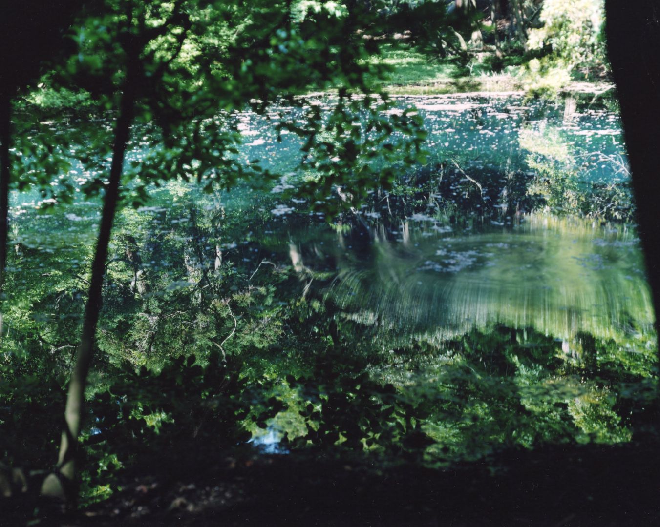 Risaku Suzuki - Gallery | Galerie Christophe Guye