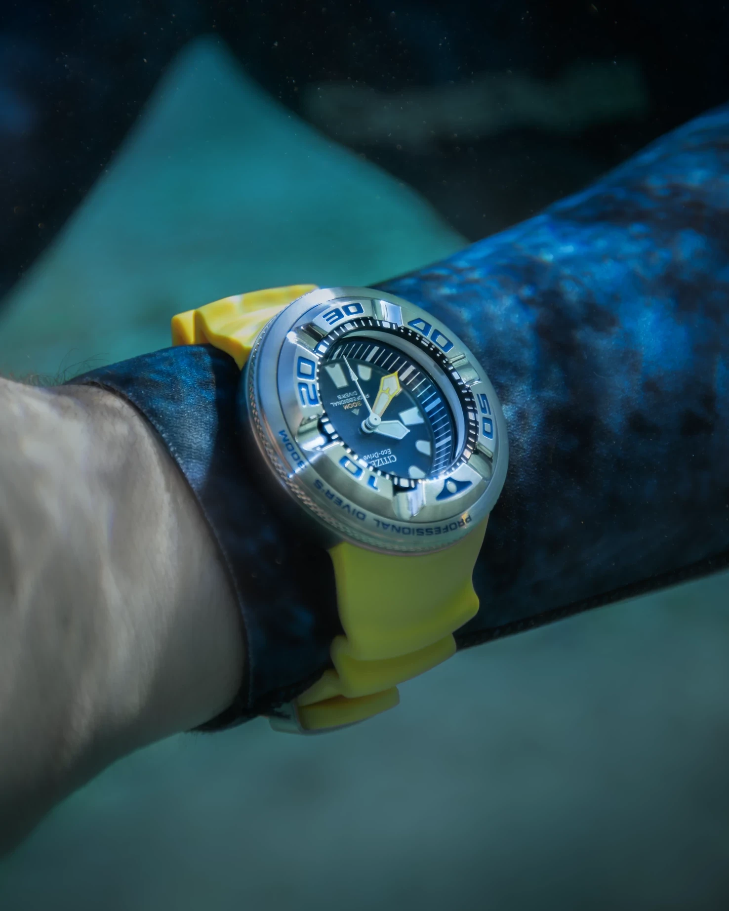 Promaster Dive 