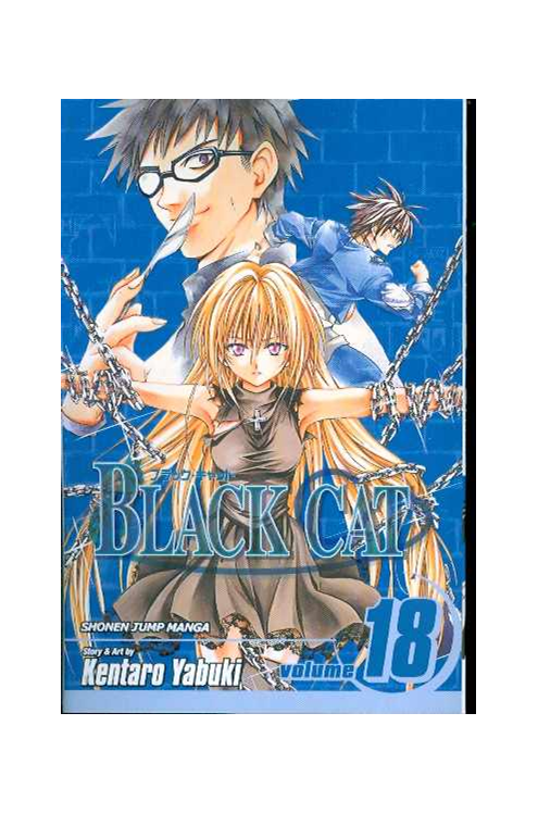 Black Cat Manga Volume 18 | ComicHub