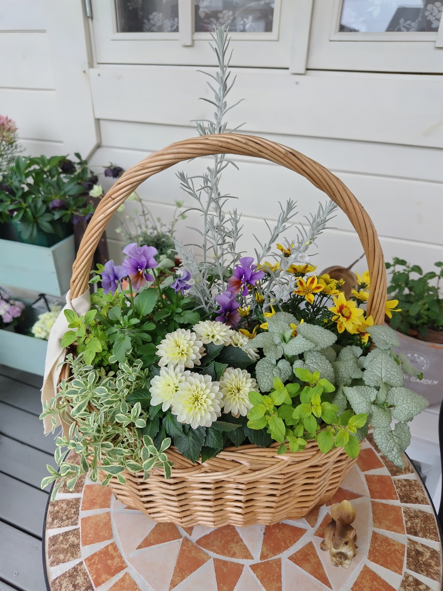 2025初寄せ植え💖 | CAINZ DIY Square