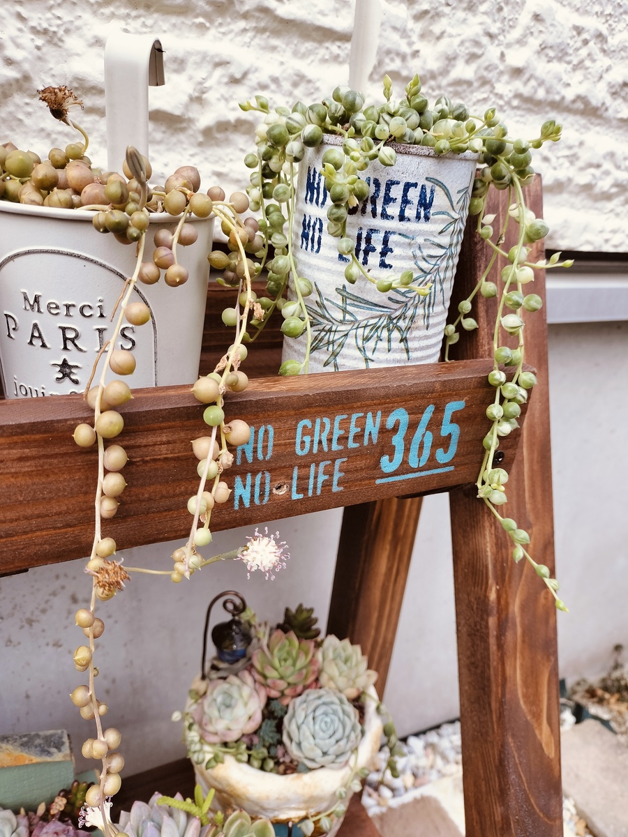 A型ステップラック 多肉棚にアレンジ | CAINZ DIY Square