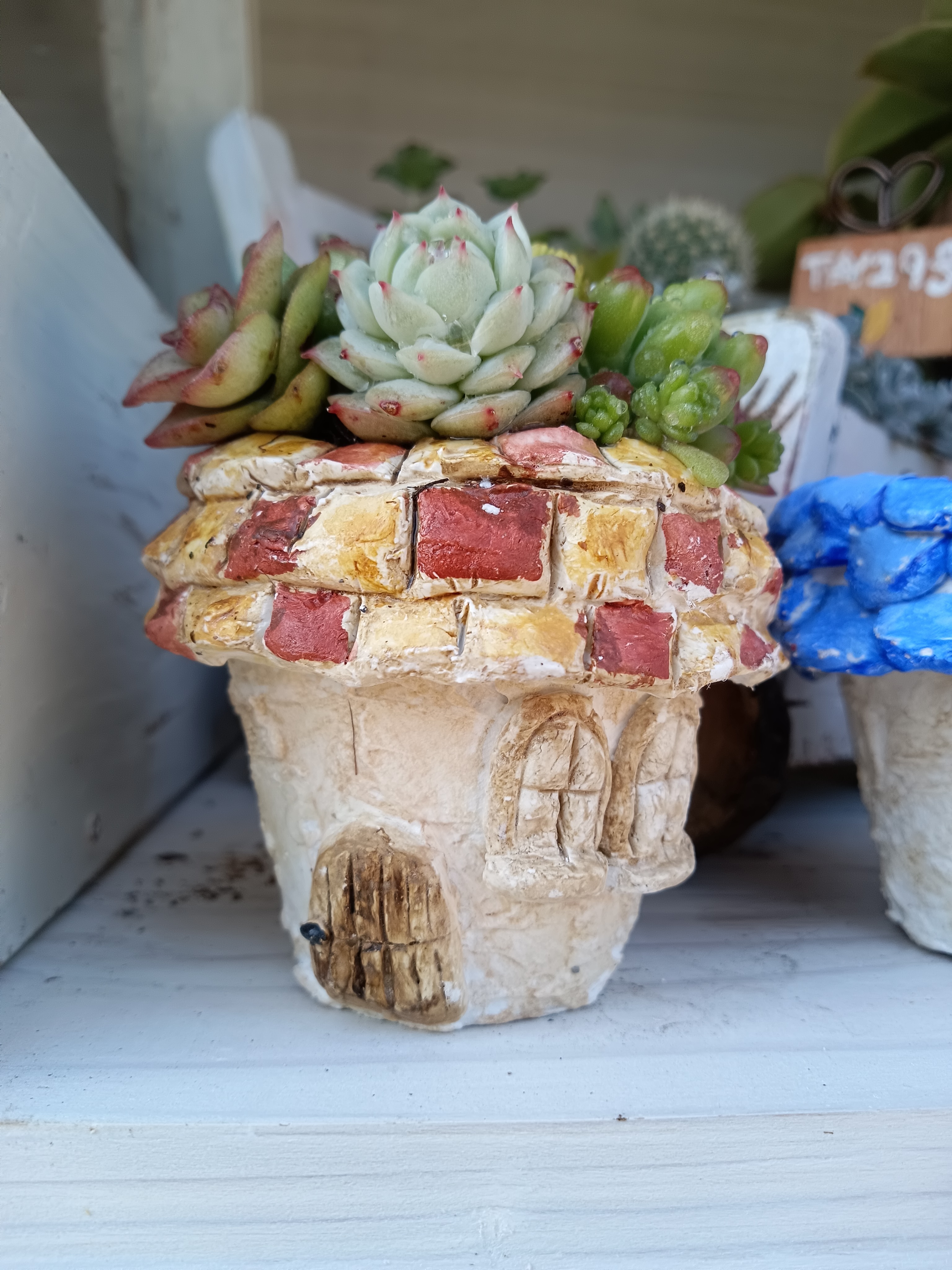 初リメ鉢🙌からの多肉寄植え！！ | CAINZ DIY Square