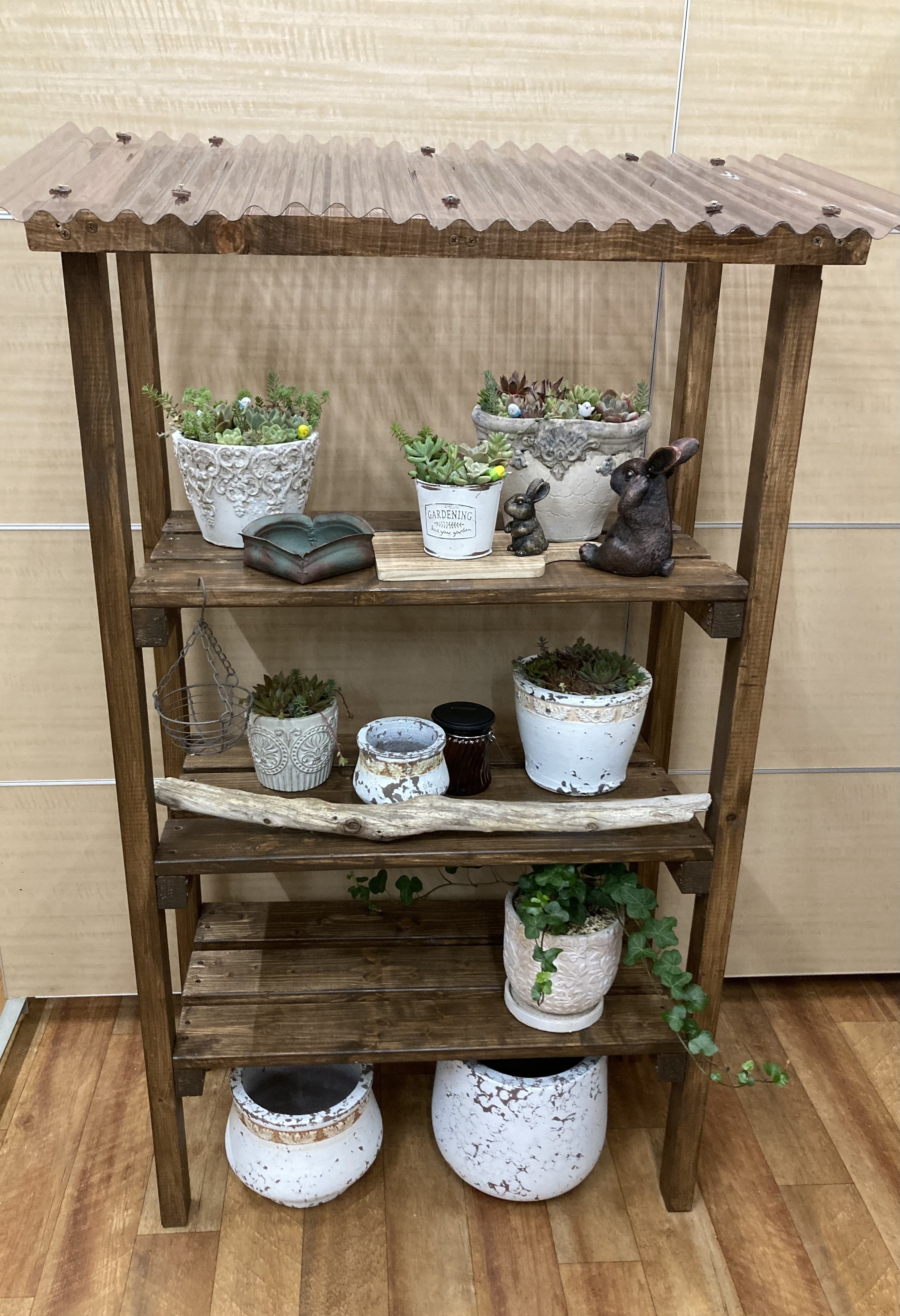 多肉植物棚 TB-66D 多肉植物の棚 | CAINZ DIY Square