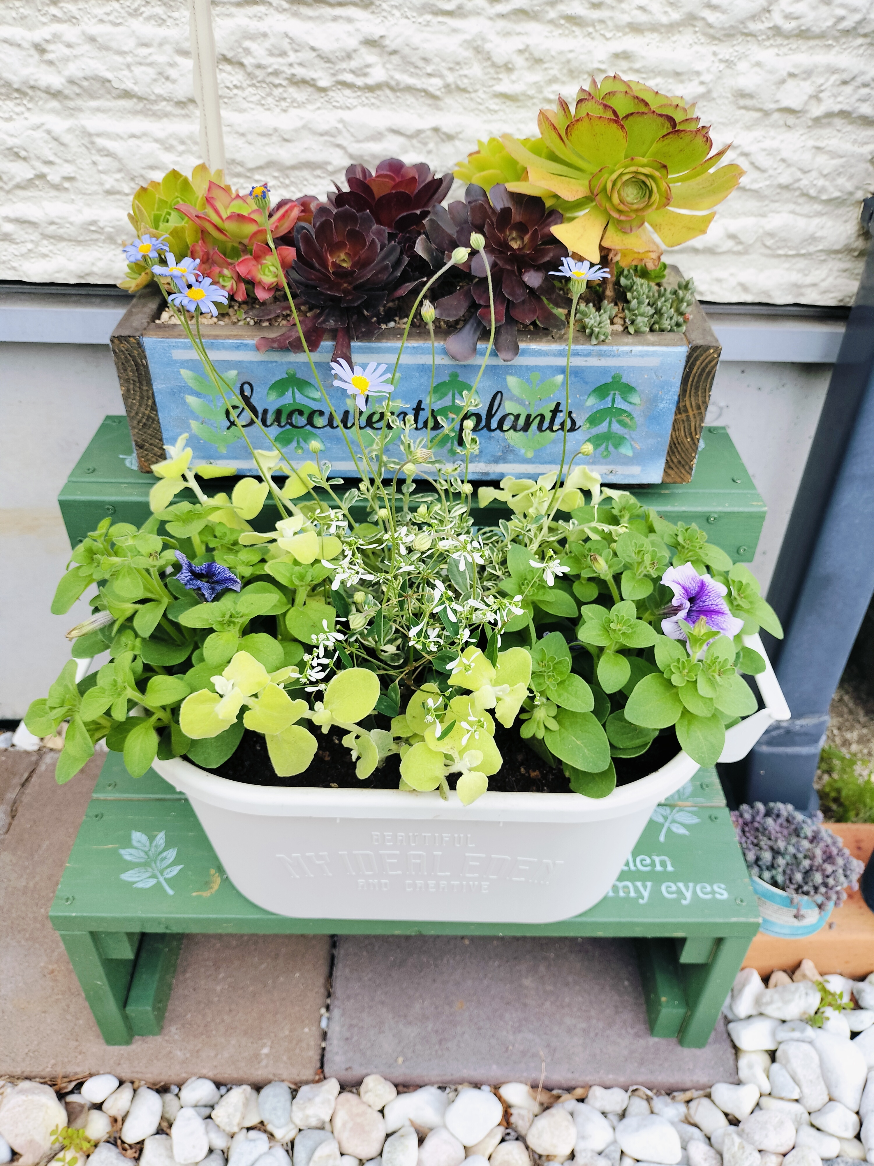 GWS ペチュニアの寄せ植え | CAINZ DIY Square