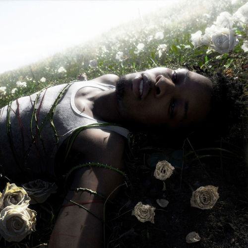 ウィザード [ジャパン・スペシャル・エディション][CD] - デイヴィッド