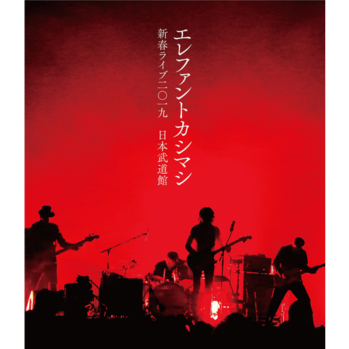 新春ライブ2019日本武道館 [Blu-ray初回限定盤][Blu-ray