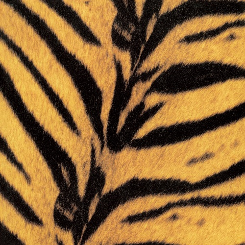 Tigermobile[CD] - THE HIGH-LOWS - UNIVERSAL MUSIC JAPAN