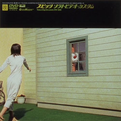 ソラトビデオ・カスタム VIDEO CLIP CHRONICLE 1991-2001[DVD