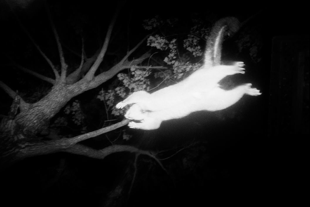 Minutes to Midnight • Trent Parke • Magnum Photos