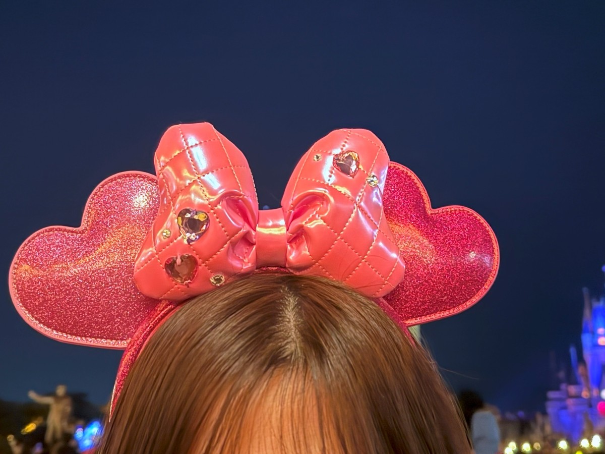 2026最新】東京ディズニーランド・パルパルーザ「ミニーのファン