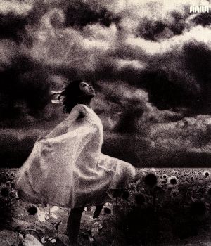 忘れない日々 中古CD | ブックオフ公式オンラインストア