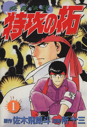 コミック全巻セット・まとめ買い】疾風伝説 特攻の拓(スペシャル版)(全