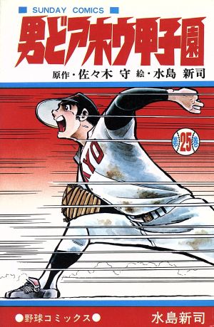 コミック全巻セット・まとめ買い】男どアホウ甲子園(全28巻)セット